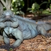 iguana_blue_qebp_gc_h_0180_cay0649.jpg